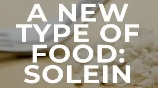 A New Type of Food: Solein