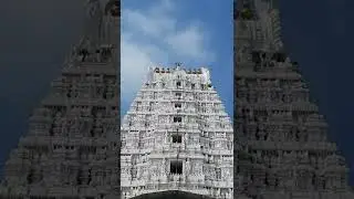 Narayanavanam Temple Sri Nivasa Kalyana Devasthanam #shorts #shortsvideo