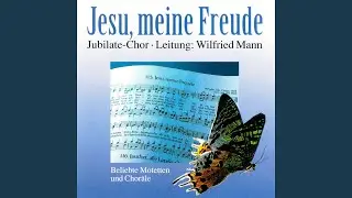 Lobe den Herren, den m&auml;chtigen K&ouml;nig der Ehren
