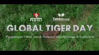 Global Tiger Day 2023: TWNC's Fight to Preserve Tigers in Sumatra