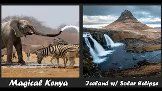 Wildlife & WaterfallsGuided land tours in Africa & Iceland
