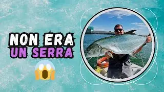 Pensavamo fosse un serra&hellip; invece era una LECCIA da 14kg! - A traina con Fishproject 🔥