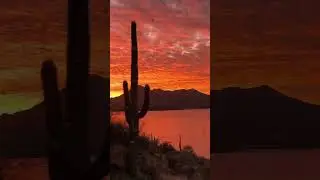 You can see why the Arizona flag features a setting sun
