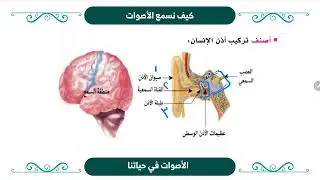 علوم رابع 21