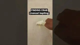 FINDING CRAB | MENCARI KEPITING #crab #kepiting #pantai #pasirpantai #beach #sand #mainananakanak