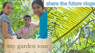 My garden tour | Kerala kitchen garden