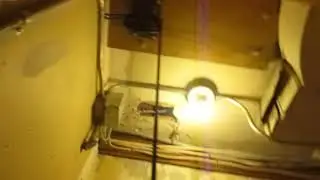 A look at an Inclinator/Elevette Winding-Drum Elevator Machine Room | ECFE