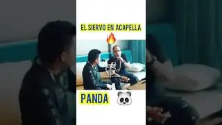Panda Acapella #almighty para TrapglobalTv 🔥