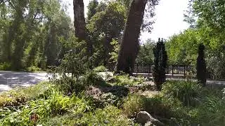 Realme 5 - Test Camera 1080p 60fps Full HD