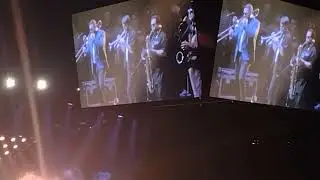 Inspector live - piratas 