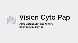 Как работать с Vision Cyto Pap