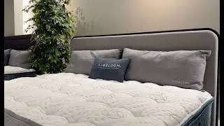 Aireloom, Luxurious Comfort YOU Have Been Searching For!