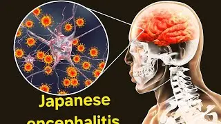 #Japanese  encephalitis #applied zoology 