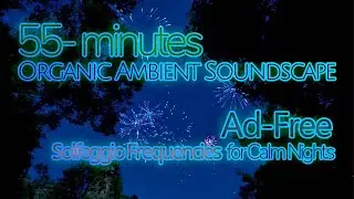 55- minutes Calm Violin Ambient Music for Relaxation