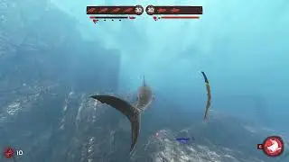 Sand Striker | Depth | Great White - Devil's Head (w/ Icarus the Seal)