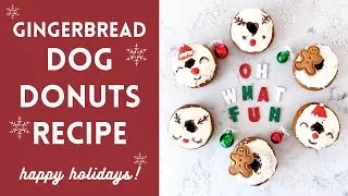 Christmas Dog Treats // DIY Gingerbread Donuts for Dogs Recipe