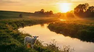 Behold The Lamb | Christian Country Gospel Song (John 1)