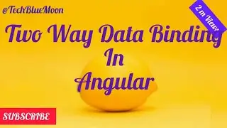 Two way data binding in Angular | angular two-way databinding