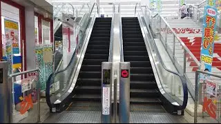 ケーズデンキ 新潟河渡店 エスカレーター【MITSUBISHI】