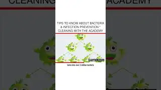 Tips to Know About Bacteria & Infection Prevention * Cleaning with the Academy