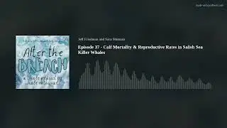 Episode 37 - Calf Mortality & Reproductive Rates in Salish Sea Killer Whales