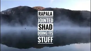 Kayak fish a small lake for trout rapala jointed shad produces the fish