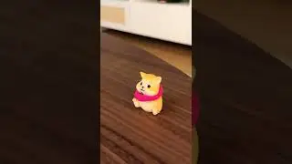 Hamster & its scarf