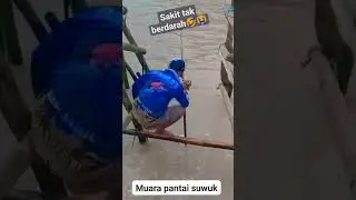 MANCING PINGGIRAN DI MUARA PANTE SUWUK KEBUMEN🦈#fishing  #mancingpasiran