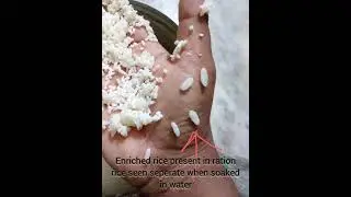 enriched rice present in ration rice seen separate when soaked in water