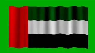 UAE Beautiful waving Flag