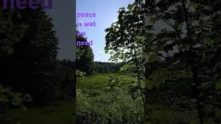 Let's all decide for peace+ help+ support each other #peaceforchildren #choosepeace #peaceispossible
