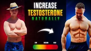 Habits To Boost Your Testosterone FAST in 30 Days