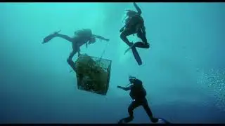 Mission Mediterranean - Marine Research Expeditions in 2020