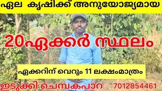 ഏക്കറിന്  വെറും 11ലക്ഷം...20 ഏക്കർ ഏലകൃഷിക്ക് അനുയോജ്യം. വഴി വെള്ളം ക്ലിയർ റ്റൈറ്റിൽ.ചെമ്പകപാറ 👇👇👇