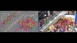 Deeping Source Anonymized Video Analytics Comparison