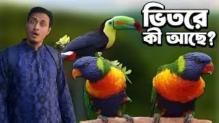 চট্টগ্রামের পাখির জগৎ | Amazing Bird World in Chittagong | Exotic Birds Market Tour