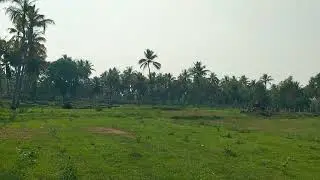 3 acr 20 gunt agriculture land for sale 52 lak for acre ph 8971607967.