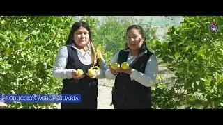 CARRERA PRODUCCION AGROPECUARIA - OMATE