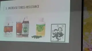 Increase Stress Resistance to prevent Depression