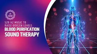 Blood Purification Sound Therapy: 528 Hz Music to Raise Oxygen Levels and Improve Flow