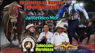 Llegaron 2 genéticas de las más antiguas de México y una Seleccion de toros de Morelos a Jantetelco