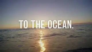 Resources From The Ocean | Rubio's