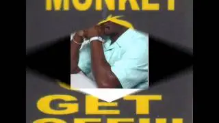 CC miles monkey get off