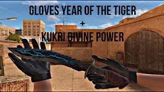 Обзор Gloves Year Of The Tiger+Kukri Divine Power