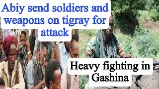 Abiy send soldiers and weapons on tigray for attack | Heavy fighting in Gashina