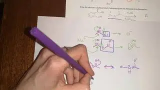 Example Test Questions 5