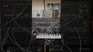 Korg ARP 2600 M sample & hold FM + audio-rate PWM 12.22.2025