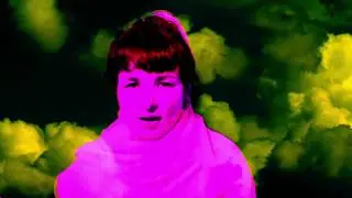 The Double Happiness - Wild Bikini