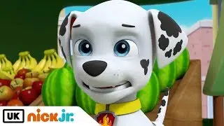 Paw Patrol | Meet: Marshall! | Nick Jr. UK