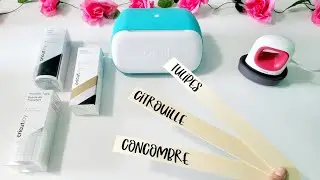 Plant labels with Cricut Joy
